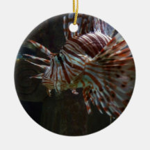 fish ornament