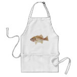 Fish - Pearl Perch - Glaucosoma scapulare Aprons