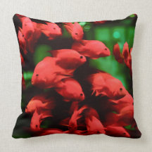 Fish Throw Pillow