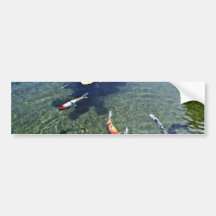 Fish Pond - Oahu Bumper Stickers