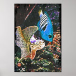Fish Poster