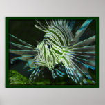 Fish Print