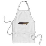 Fish - Qld. Lungfish - Neoceratodus forsteri Aprons