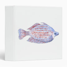 Fish. Red Line Rainbowfish. Binders
