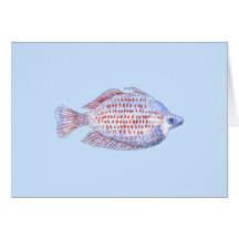 Fish. Red Line Rainbowfish. Greeting Card