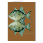 Fish Reflections by FishTs Cards