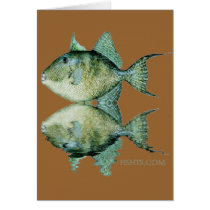 Fish Reflections by FishTs