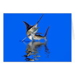 Fish Reflections Collection cards