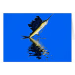 Fish Reflections Collection of Fish Shirts Cards