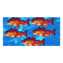 FISH SALMON PHOTO CARD TEMPLATE