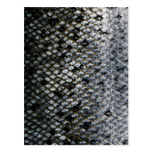 Fish Scales Post Cards