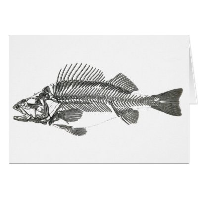 Fish Skeleton Greeting Card by crotalus