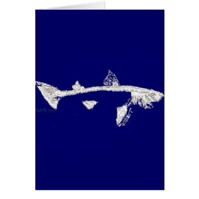 Fish Skeletons Collection by FishTsdotcom