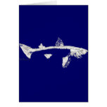 Fish Skeletons Collection Card