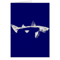 Fish Skeletons Collection