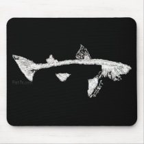 Fish Skeletons Collection