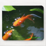 FISH TALES   www.debbie-may.fineartamerica.com Mouse Pad