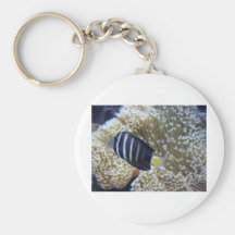 fish with anemone key chain