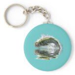 Fish with reflections collection key chains