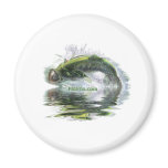 Fish with reflections collection magnets