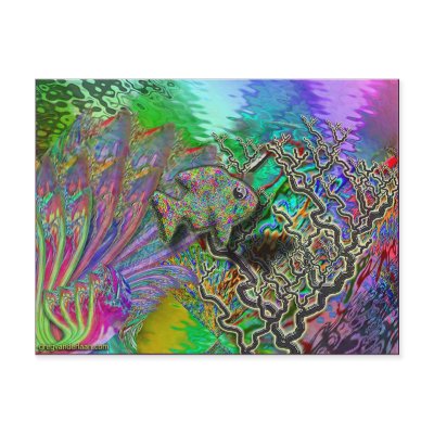 fish-yinyang postcard by gregvan