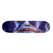 FISHER THE FISH SKATEBOARD