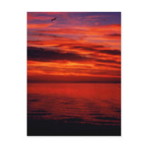 Fisherman Sunset Photo