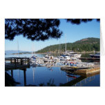 Fishermans Marina Cards