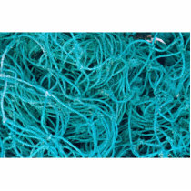 Fisherman's net photo cut out