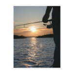 Fisherman's Sunset Postcard