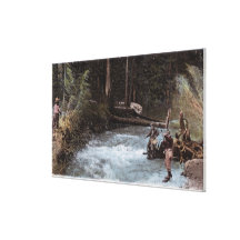 Fishermen Fishing at Commonwealth Creek Gallery Wrap Canvas