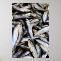 Fishes close-up poster