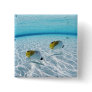 Fishes in the sea 2 buttons