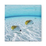 Fishes in the sea 2 refrigerator magnets