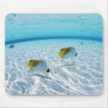 Fishes in the sea 2 mouse pads