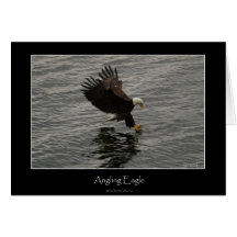 Fishing Bald Eagle Gift Set Card