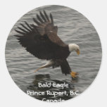 Fishing Bald Eagle Gift Set Sticker