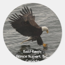 Fishing Bald Eagle Gift Set Sticker
