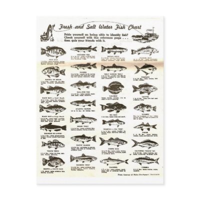 Fishing Chart Postcard by floppypoppygifts