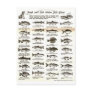 Fishing Chart Postcard