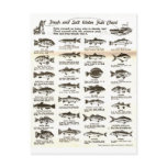Fishing Chart postcards