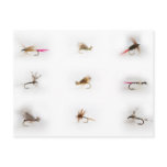 Fishing flies post cards