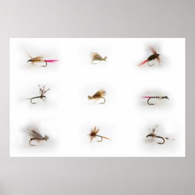 Fishing flies posters by jeanro