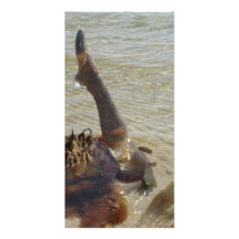 Fishing for Compliments Custom Photo Card