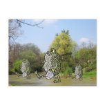 Fishing Frogs postcards