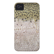 Fishing Fury iPhone4/4S Case (Steelhead) casemate cases