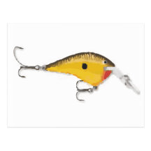 Fishing Lure Postcards