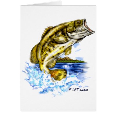 FishTs Designer Series by FishTsdotcom