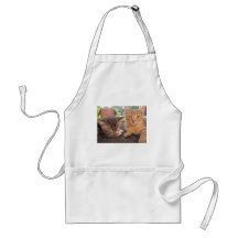Fitsy and Jaga kitties Aprons