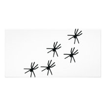 five black spiders icon customized photo card
